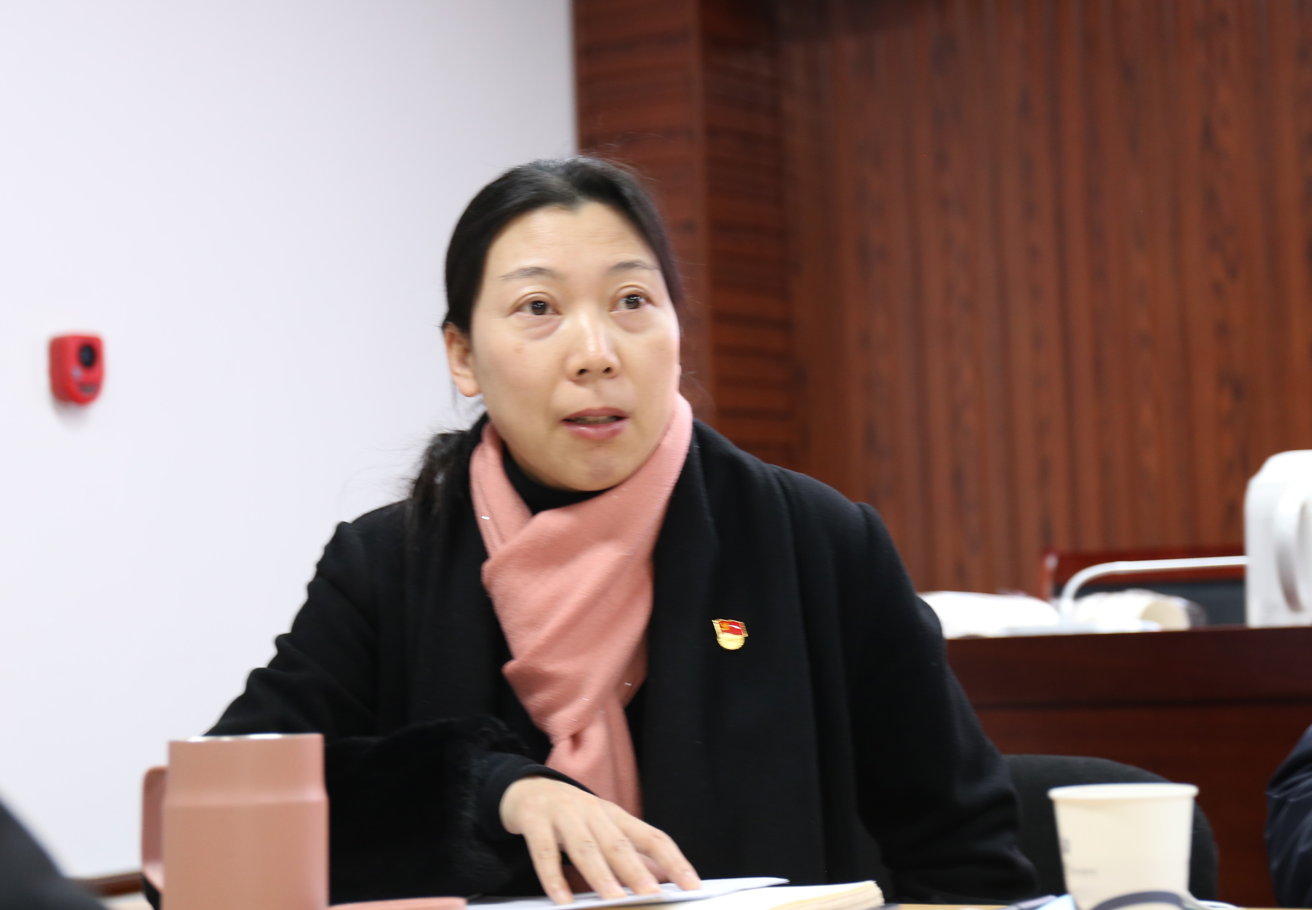 8彭焕萍同志发言IMG_0845 (2).JPG 8彭焕萍同志发言IMG_0845 (2).JPG