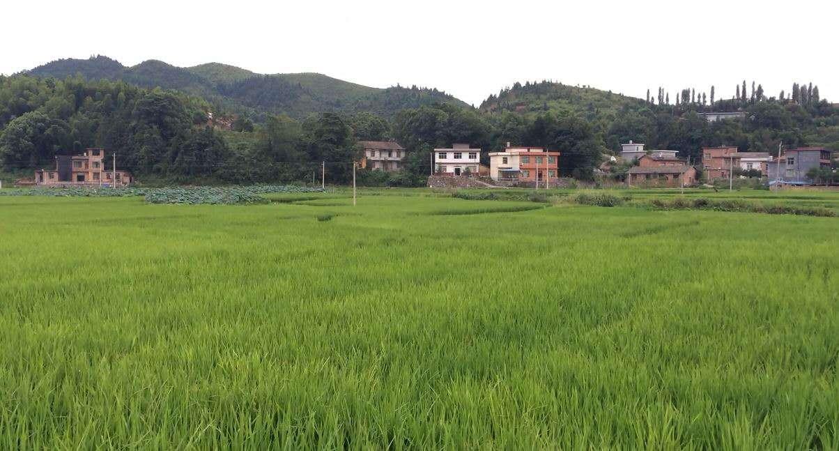 6.jpg 6.jpg
